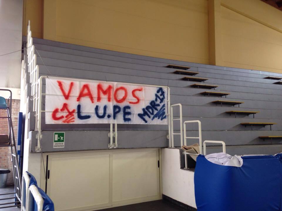 Lupe