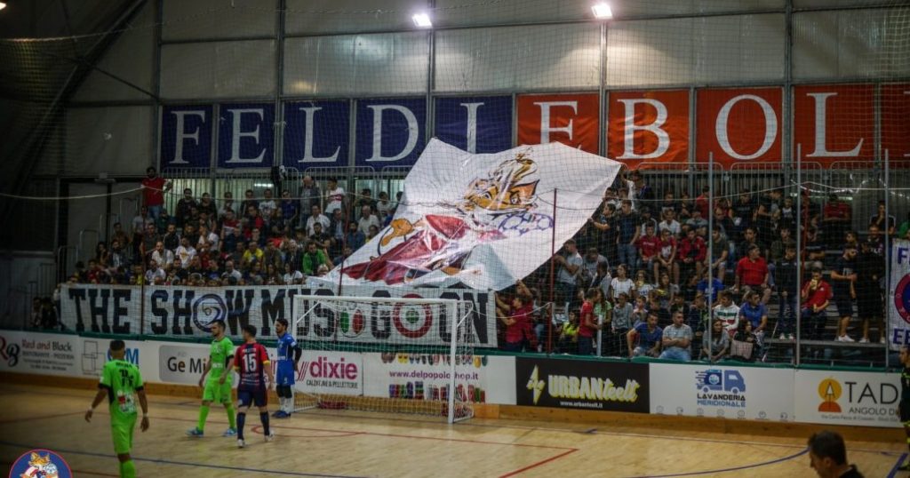 feldi-vs-todis-1030x541