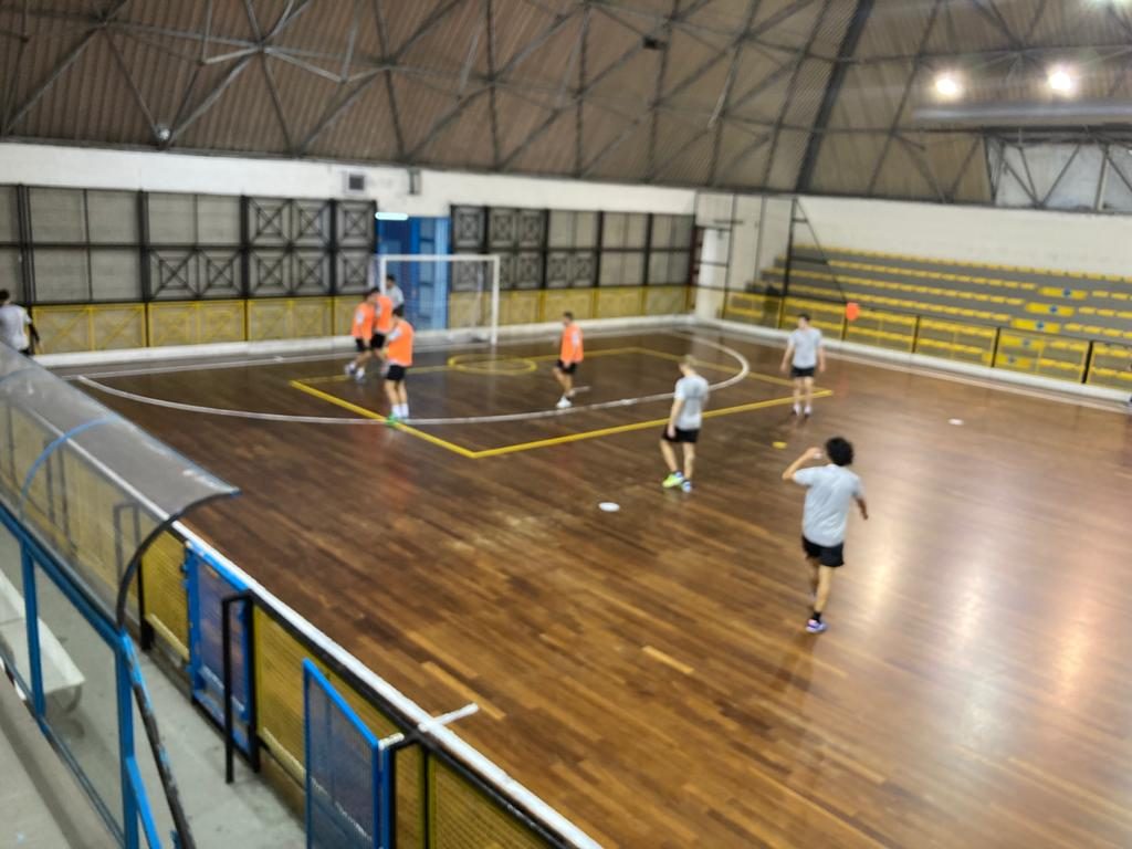 alma14