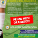 Affiliazione con Il Napoli Futsal e scuola calcio, il progetto Virtus Libera Isola d’Ischia a 360°: tutte le info