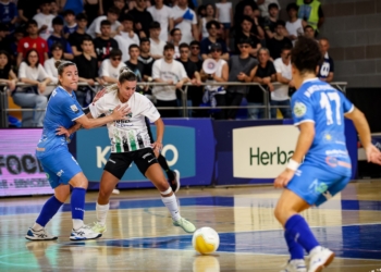Quella bella dozzina! La Serie A Tesys apre la corsa allo scudetto: tutte le protagoniste